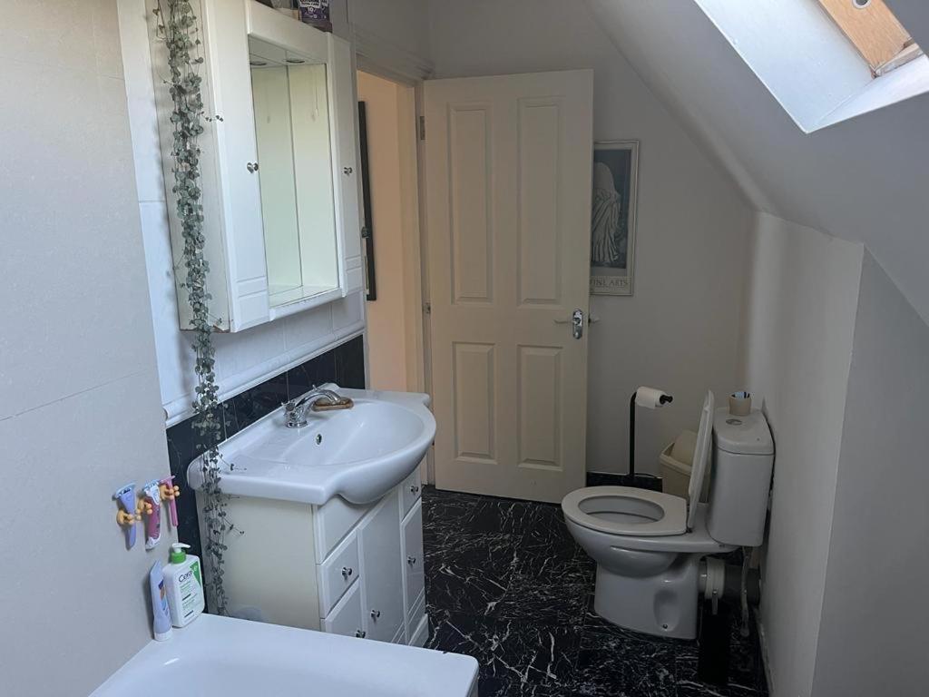 2 Bedroom Top Floor Flat, West Dulwich Free Street Parking ロンドン エクステリア 写真